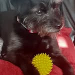 Greg Ritchie - @gregritchie289 - Instagram