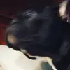 Gregory Robey - @gregoryrobey_5487 - TikTok