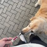 @greg.robinsonnn - Instagram