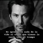 Greg Rocha - @rochagreg - Instagram