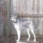 Greg Rollins - @osmosis67 - Instagram