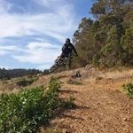 Greg Ross - @greg_ross81 - Instagram