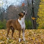 Greg Rowley - @rowley.greg - Instagram