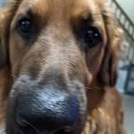 Greg Ruby - @gjruby2131 - Instagram