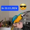 Ruby la mascotte - @greg.ruby - TikTok