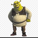 DONKEY THIS IS MY SWAMP - @greg_rules_fanpage - Instagram