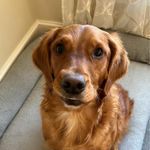 Greg Russo - @grusso327 - Instagram