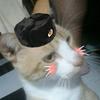 Gregay_Russo - @gregay_russo - TikTok