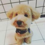 Greg Salley - @gregsalley - Instagram