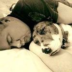 Greg Sampson - @greg.sampson.98 - Instagram