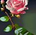 Greg Samson - Facebook