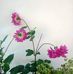 Greg Sanchez - Facebook