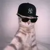 Greg sanchez - @greg451799 - TikTok