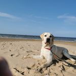 Greg Sands - @g.regular.72 - Instagram