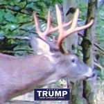 Greg Sauers Jr. - @gregsauers06 - Instagram