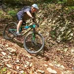 Greg Savage - @gregmsavage - Instagram