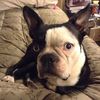 Greg Scealf - @2184914058 - TikTok