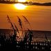 GregoryKarl Scarbrough - Facebook
