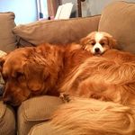 Greg Schaffer - @greg.schaffer - Instagram