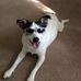 Greg Schnell - Facebook