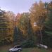 Greg Schnell - Facebook