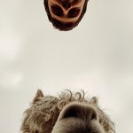 Greg Scholes - @gregscholesaudio - Instagram