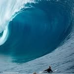 Greg Schuchard - @gregschuchard - Instagram