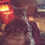 Gregory Schuchard - Facebook