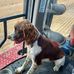 Greg Schultz - Facebook