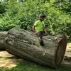 Greg Schultz - @gregschultz62 - TikTok