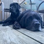 Greg Scott - @gregscott269 - Instagram
