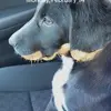 gregscott77 - @gregscott85 - TikTok