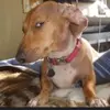 greg see - @greg.see6 - TikTok