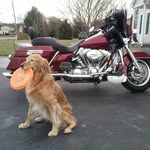 Greg - @greg_seitz_65 - Instagram