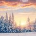 Greg Seitz - Facebook