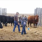 Greg Seitz - @gregseitz9 - Instagram