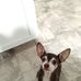 Greg Sellick - Facebook