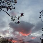 Greg Sharpe - @sleepysharpe - Instagram