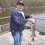 Greg Shaver - @moondoggi776412 - Instagram