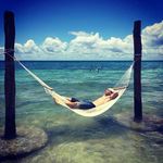 Greg Shaver - @instagreg.dotcom - Instagram