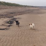 Greg Siewert - @harlineti - Instagram