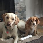 Greg Silva - @greg.silva.18 - Instagram