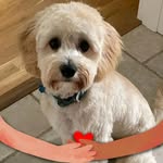Greg silverman - @greg_silverman1 - Instagram
