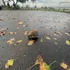 greg_simpson06 - @greg_simpson06 - TikTok