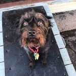 Greg Sisson - @sisson400 - Instagram