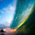 Greg Sisson - @seasidetoothless - Instagram