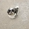 Greg Smith - @greg.smith637 - TikTok