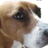 greggsnipes - @greggsnipes - TikTok