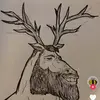 OieOieBigBoi - @gregsouthard - TikTok