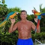 Greg Spain - @spaingreg - Instagram